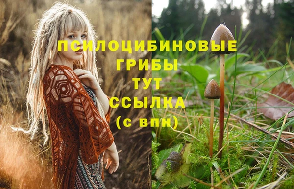 ALPHA-PVP Киреевск